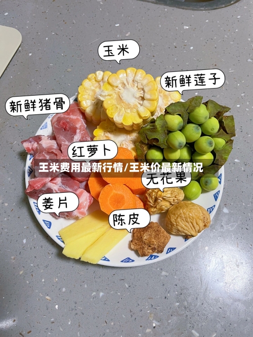 王米费用最新行情/王米价最新情况-第3张图片