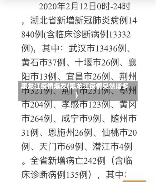 黑龙江疫情爆发(黑龙江疫情突然增多)-第2张图片