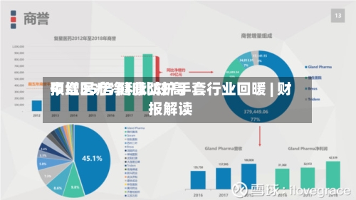 中红医疗净利比较高预增35倍 健康防护手套行业回暖 | 财报解读