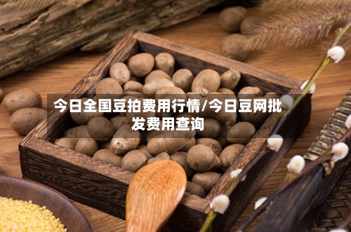今日全国豆拍费用行情/今日豆网批发费用查询