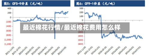 最近棉花行情/最近棉花费用怎么样-第3张图片