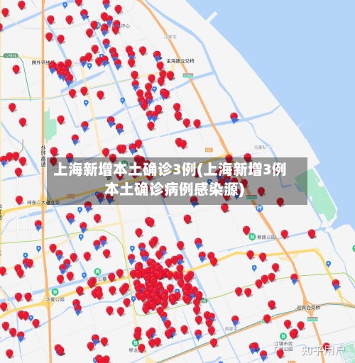 上海新增本土确诊3例(上海新增3例本土确诊病例感染源)-第2张图片