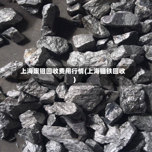 上海废钼回收费用行情(上海钼铁回收)-第3张图片