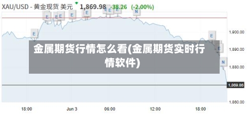 金属期货行情怎么看(金属期货实时行情软件)-第2张图片