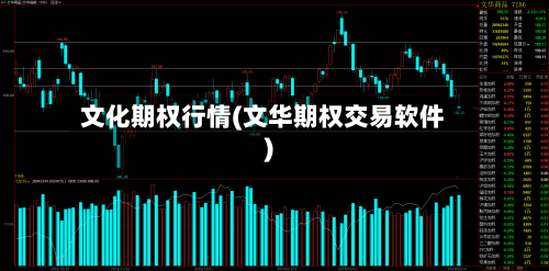 文化期权行情(文华期权交易软件)-第2张图片