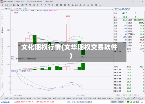 文化期权行情(文华期权交易软件)