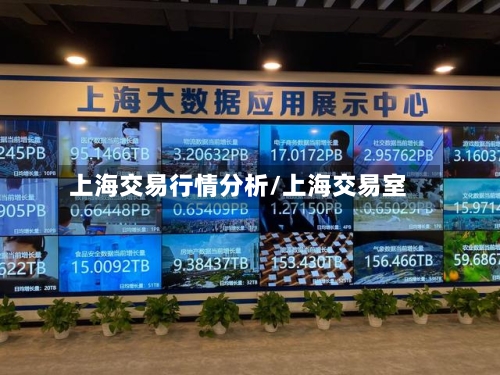 上海交易行情分析/上海交易室-第2张图片