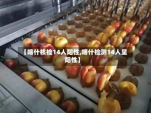 【喀什核检14人阳性,喀什检测14人呈阳性】-第3张图片