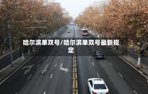 哈尔滨单双号/哈尔滨单双号最新规定