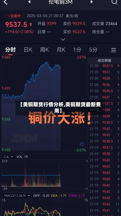【美铜期货行情分析,美铜期货最新费用】-第2张图片