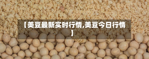 【美豆最新实时行情,美豆今日行情】-第2张图片