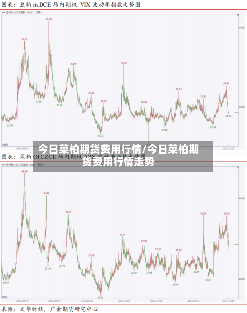 今日菜柏期货费用行情/今日菜柏期货费用行情走势-第2张图片