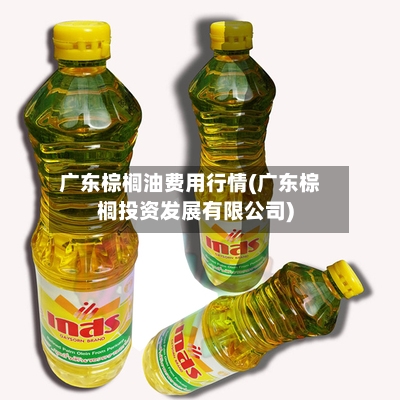 广东棕榈油费用行情(广东棕榈投资发展有限公司)-第3张图片