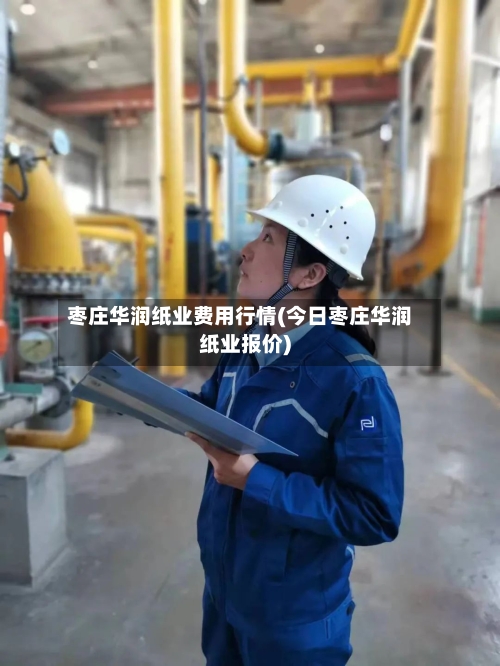 枣庄华润纸业费用行情(今日枣庄华润纸业报价)-第2张图片