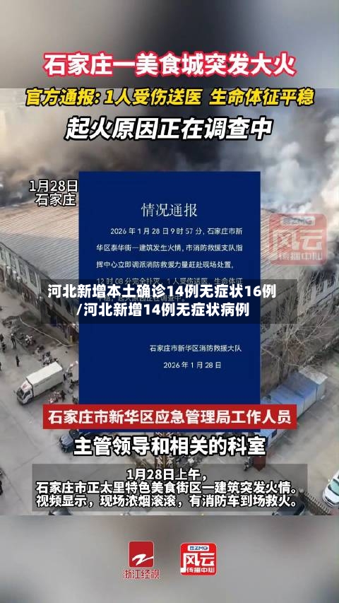 河北新增本土确诊14例无症状16例/河北新增14例无症状病例-第2张图片