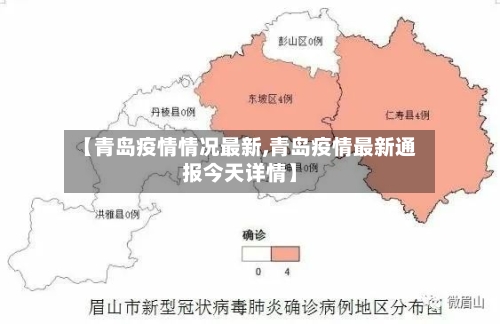【青岛疫情情况最新,青岛疫情最新通报今天详情】-第2张图片