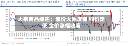 大宗商品综述：油价大幅反弹 铜价走低 金价涨幅收窄-第2张图片