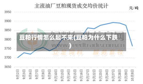 豆粕行情怎么起不来(豆粕为什么下跌)-第2张图片