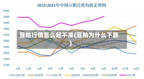 豆粕行情怎么起不来(豆粕为什么下跌)-第3张图片