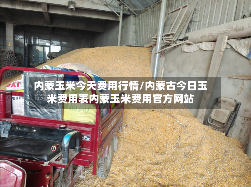 内蒙玉米今天费用行情/内蒙古今日玉米费用表内蒙玉米费用官方网站-第2张图片