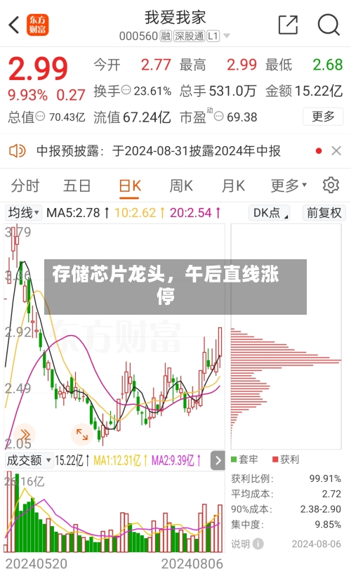 存储芯片龙头，午后直线涨停