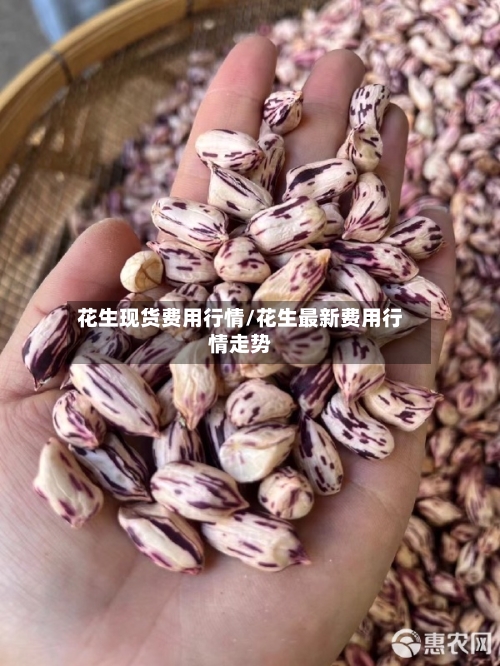 花生现货费用行情/花生最新费用行情走势-第2张图片