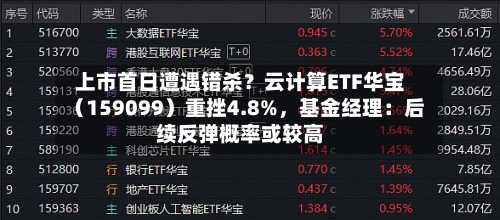 上市首日遭遇错杀？云计算ETF华宝（159099）重挫4.8%	，基金经理：后续反弹概率或较高-第2张图片
