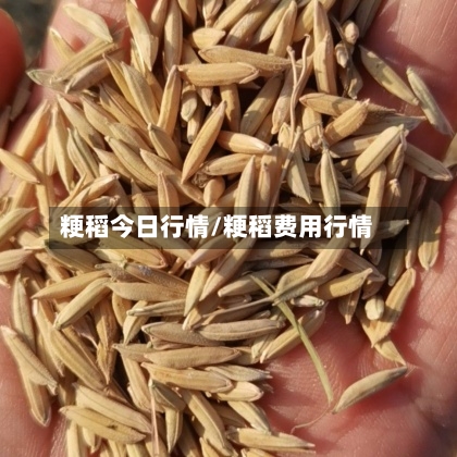 粳稻今日行情/粳稻费用行情-第2张图片
