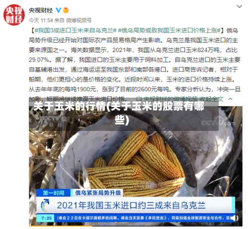 关于玉米的行情(关于玉米的股票有哪些)