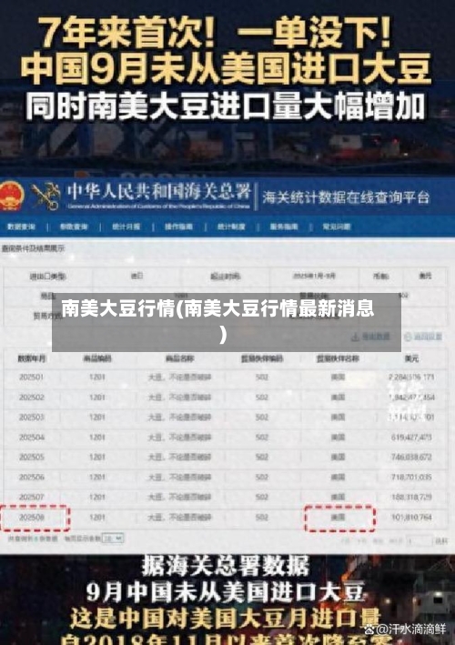南美大豆行情(南美大豆行情最新消息)-第2张图片