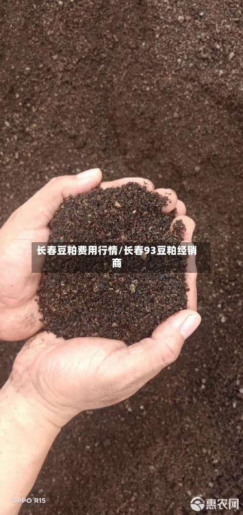 长春豆粕费用行情/长春93豆粕经销商