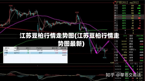 江苏豆柏行情走势图(江苏豆柏行情走势图最新)