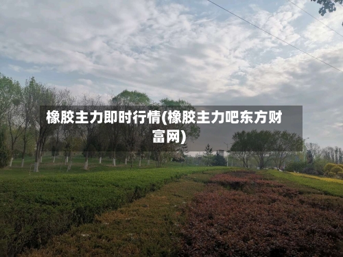 橡胶主力即时行情(橡胶主力吧东方财富网)-第2张图片