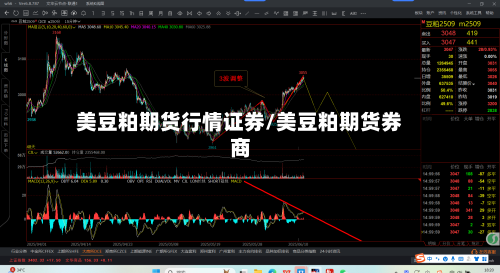 美豆粕期货行情证券/美豆粕期货券商