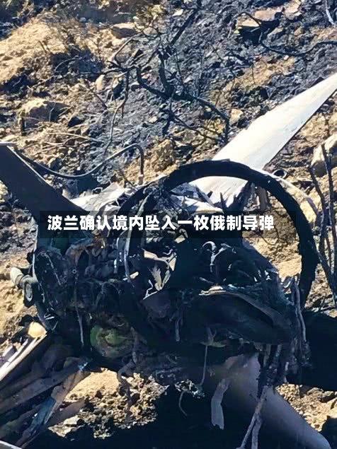 波兰确认境内坠入一枚俄制导弹-第2张图片