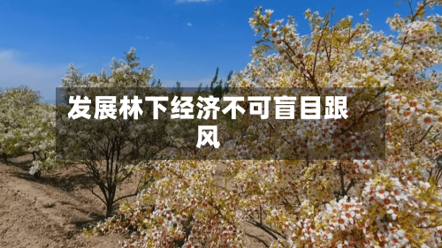 发展林下经济不可盲目跟风-第3张图片