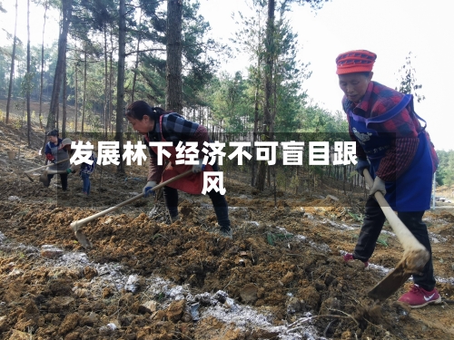 发展林下经济不可盲目跟风