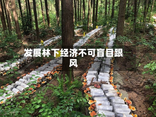 发展林下经济不可盲目跟风-第2张图片
