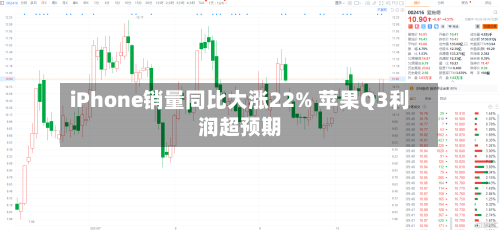 iPhone销量同比大涨22% 苹果Q3利润超预期-第3张图片