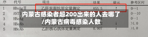 内蒙古感染者超200出来的人去哪了/内蒙古病毒感染人数