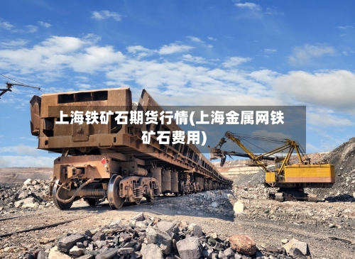 上海铁矿石期货行情(上海金属网铁矿石费用)