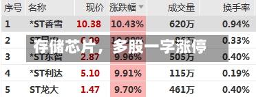 存储芯片，多股一字涨停