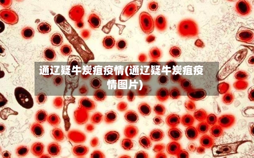 通辽疑牛炭疽疫情(通辽疑牛炭疽疫情图片)