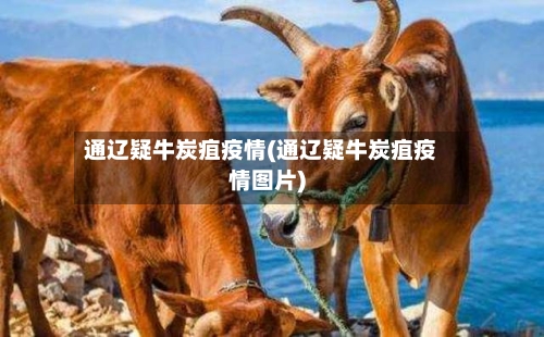 通辽疑牛炭疽疫情(通辽疑牛炭疽疫情图片)-第2张图片