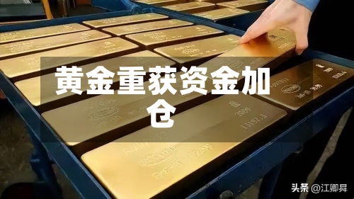 黄金重获资金加仓-第2张图片