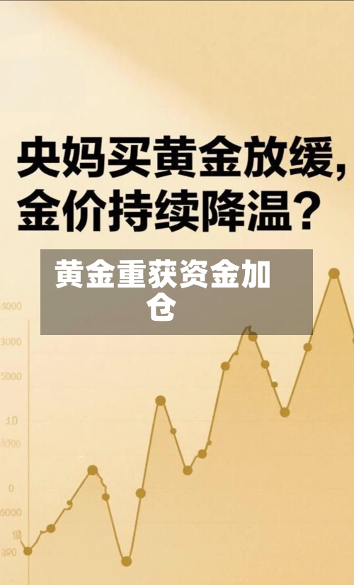 黄金重获资金加仓-第1张图片