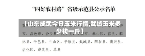 【山东成武今日玉米行情,武城玉米多少钱一斤】-第2张图片