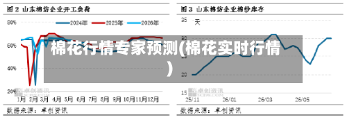 棉花行情专家预测(棉花实时行情)