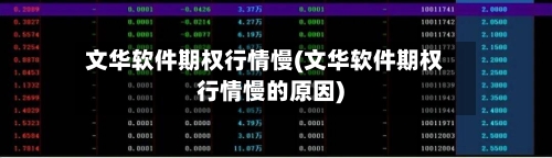 文华软件期权行情慢(文华软件期权行情慢的原因)