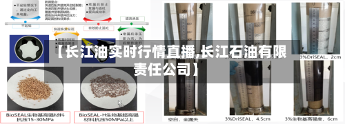 【长江油实时行情直播,长江石油有限责任公司】-第2张图片
